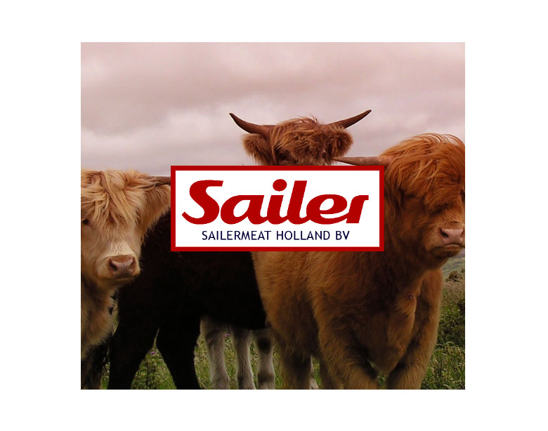 sailermeat-cows