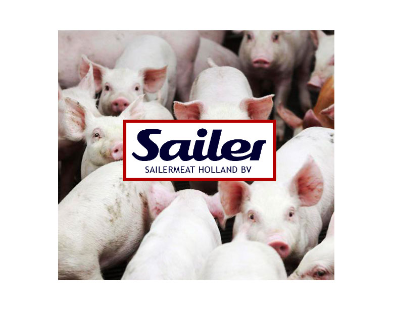 sailermeat-pigs